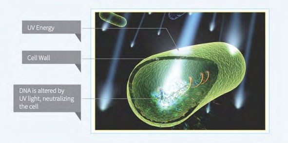 UV Disinfection